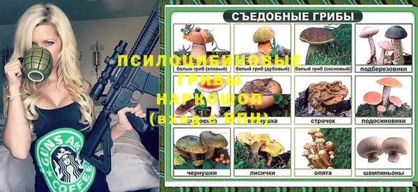гашик Алзамай