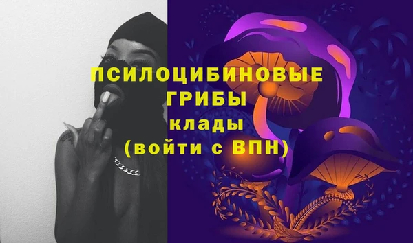 соль ск Алексеевка