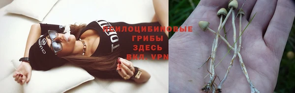 хмурый Алексин