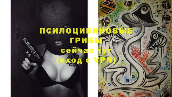 хмурый Алексин