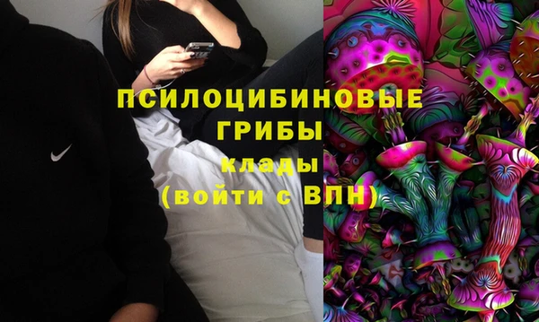 хмурый Алексин