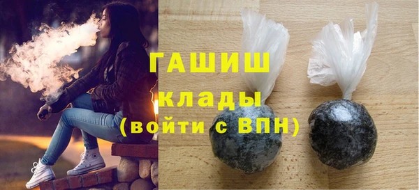 хмурый Алексин
