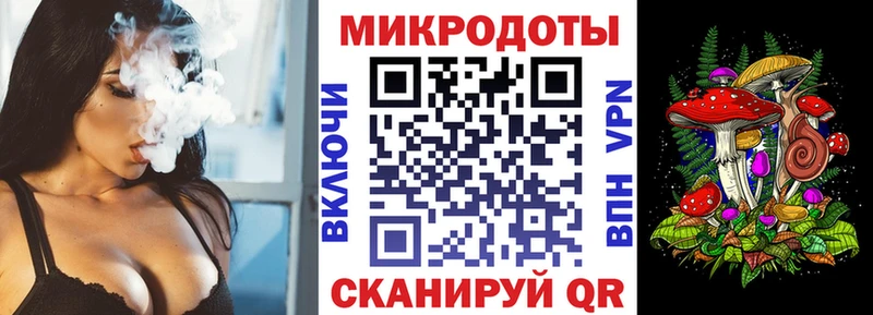 Галлюциногенные грибы Psilocybine cubensis Бокситогорск
